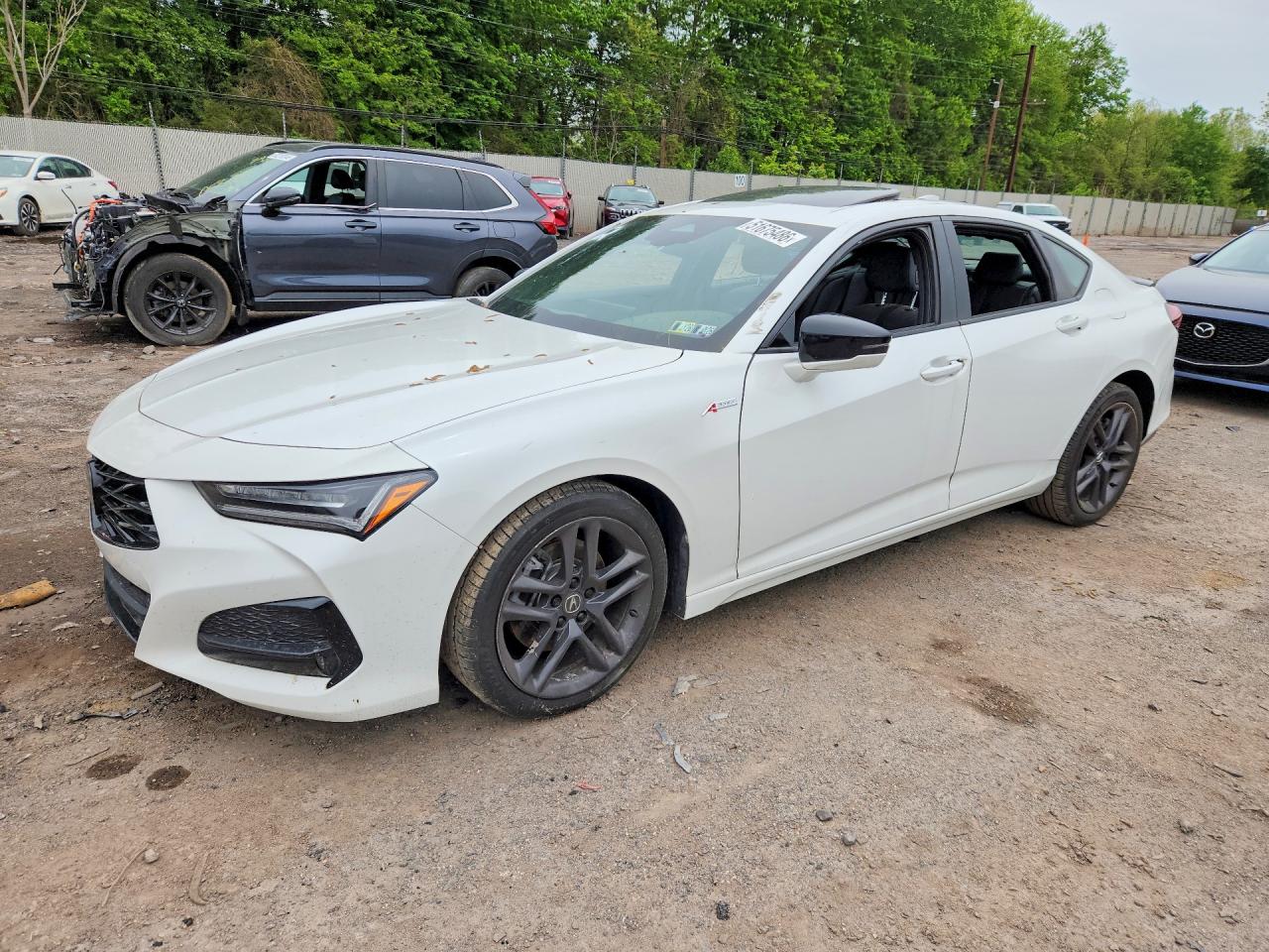 2024 Acura TLX