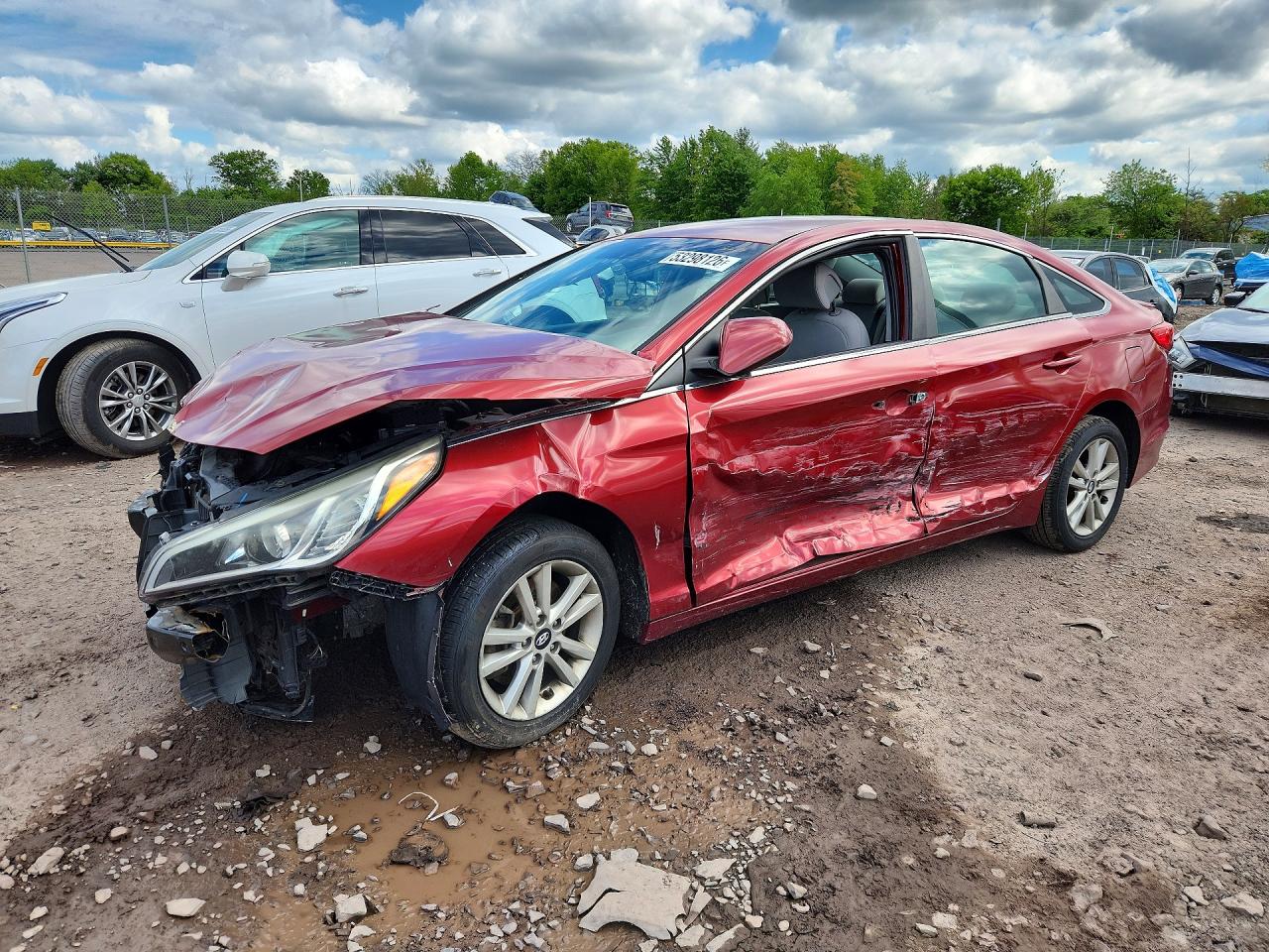 Salvage Hyundai SONATA Image