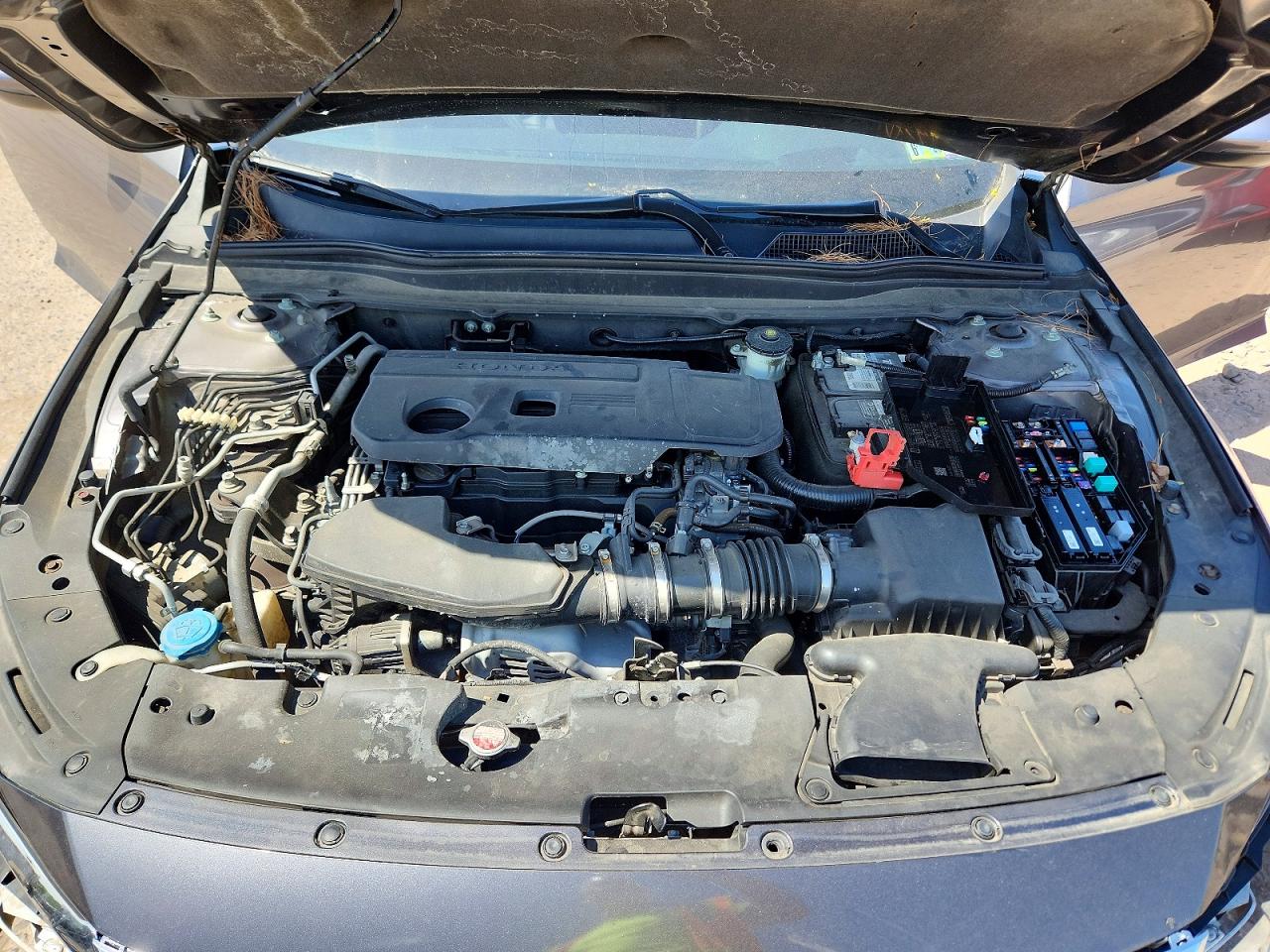 Honda Accord Touring