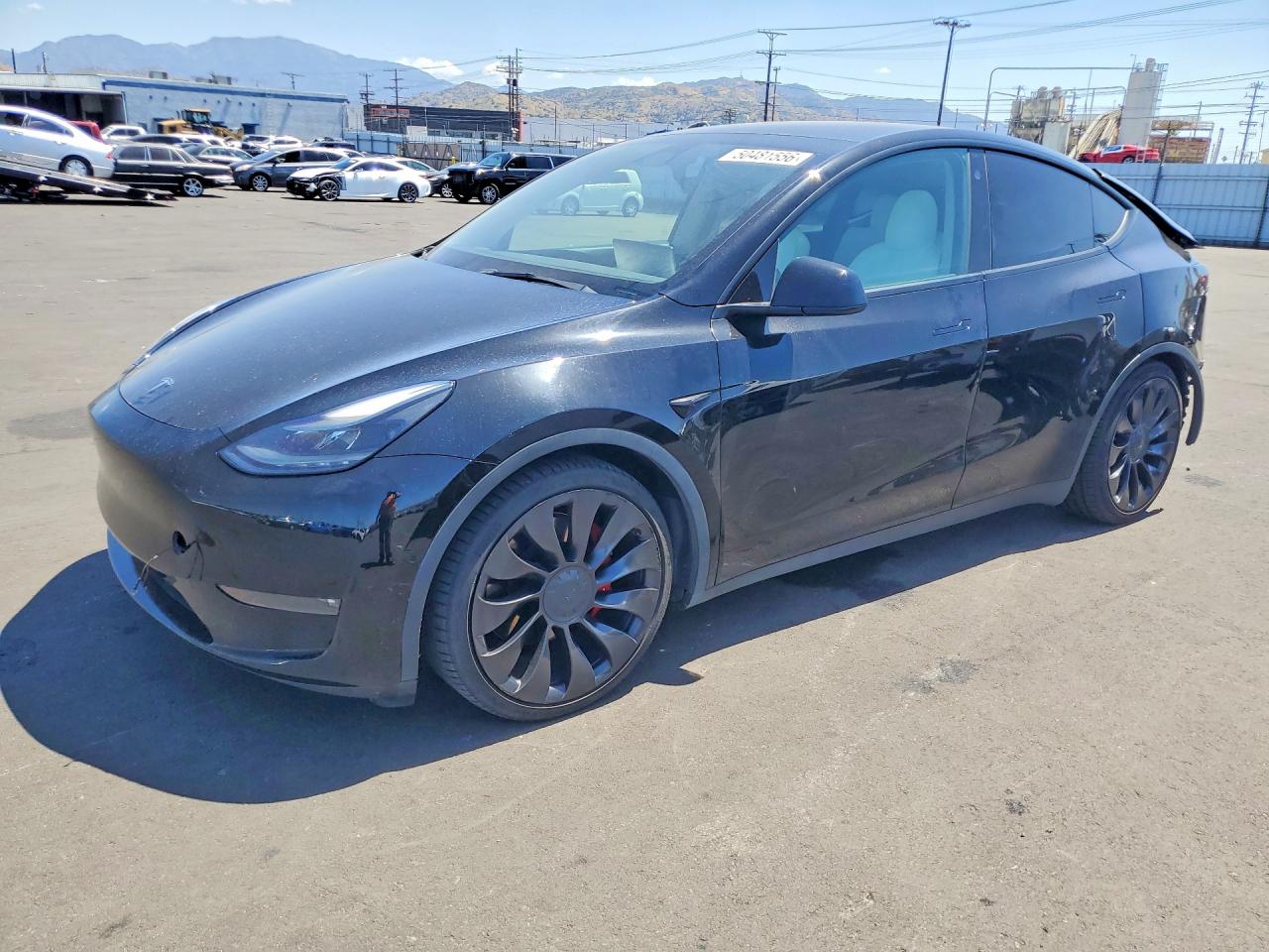 Salvage Tesla Model Y Image