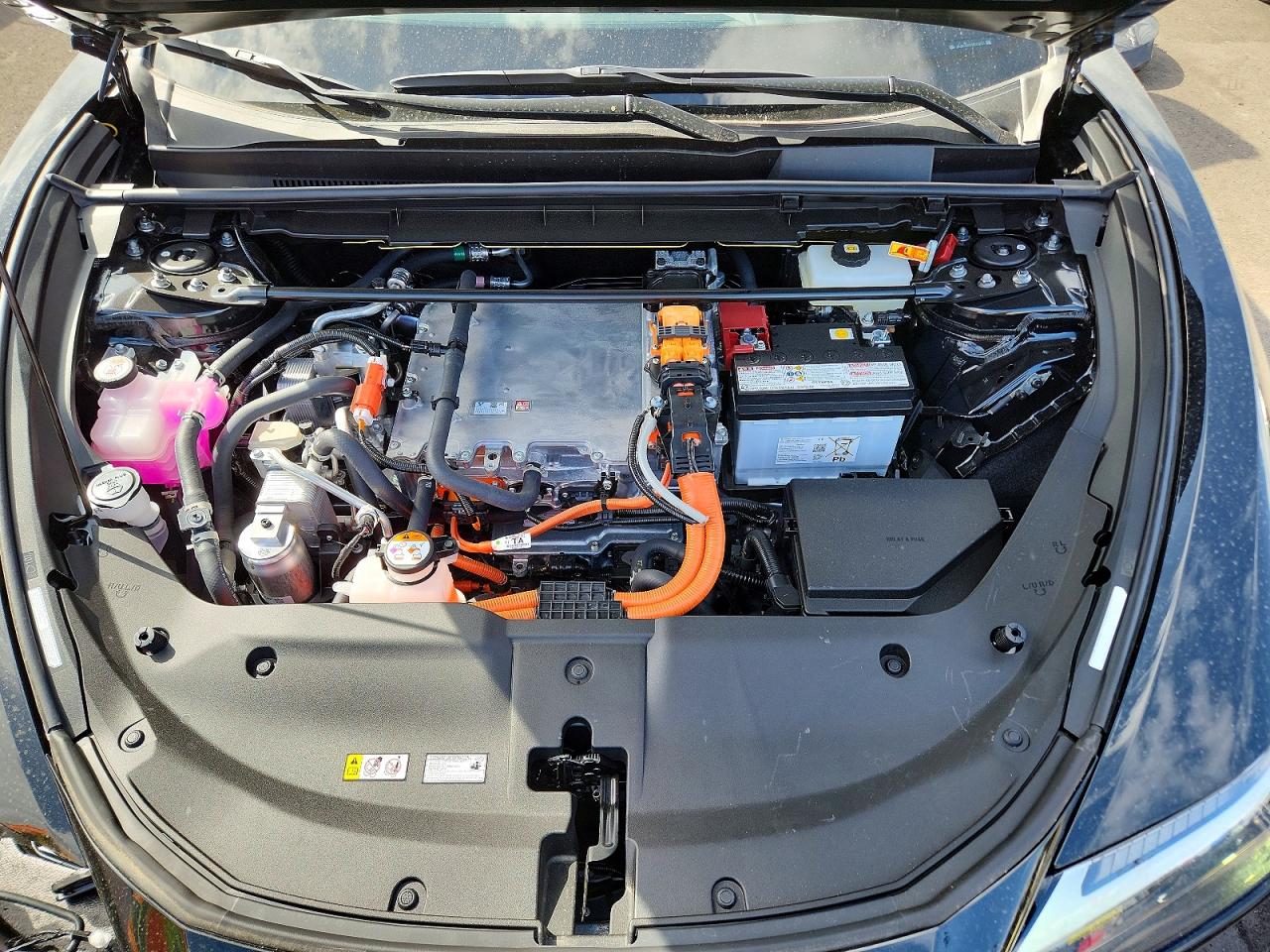 Lexus Other Premium