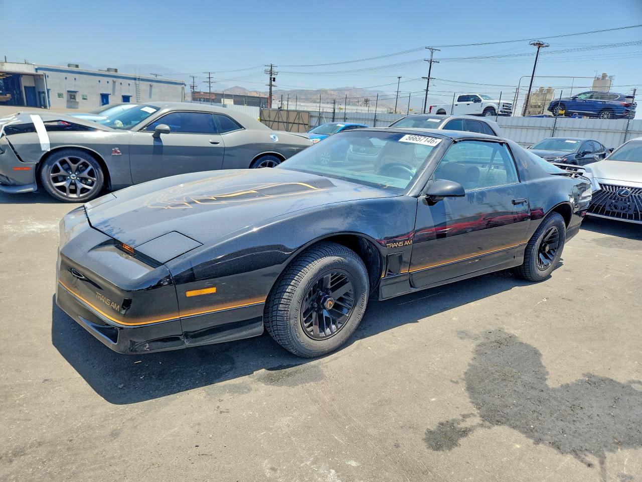 Salvage Pontiac Firebird Image