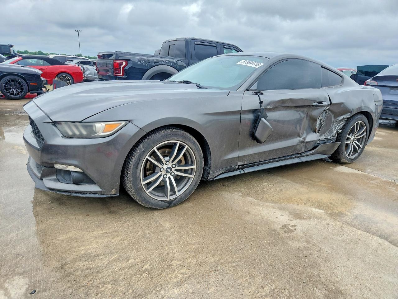 Salvage Ford Mustang Image