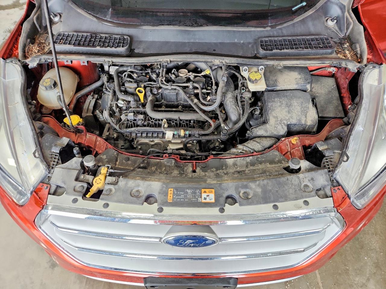 Ford Escape Se
