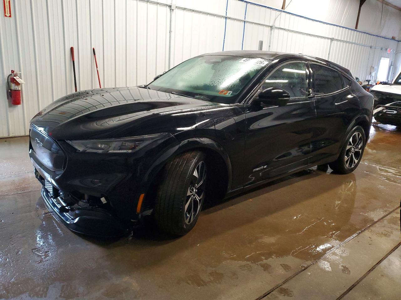Salvage Ford Mustang Image