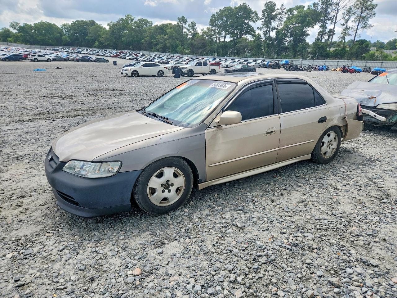 Salvage Honda Accord Image