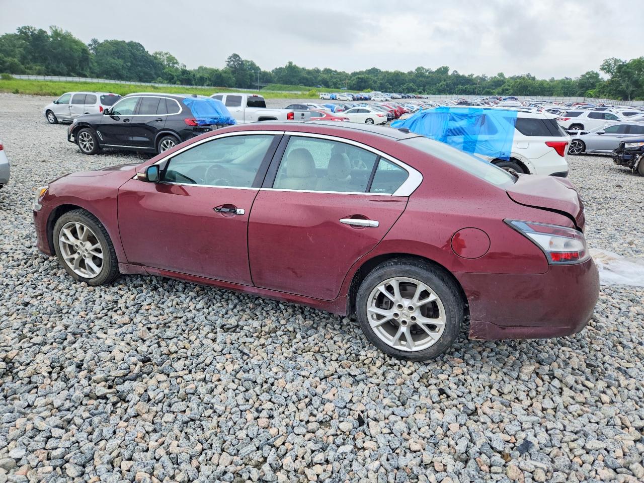 Nissan Maxima 3.5 S