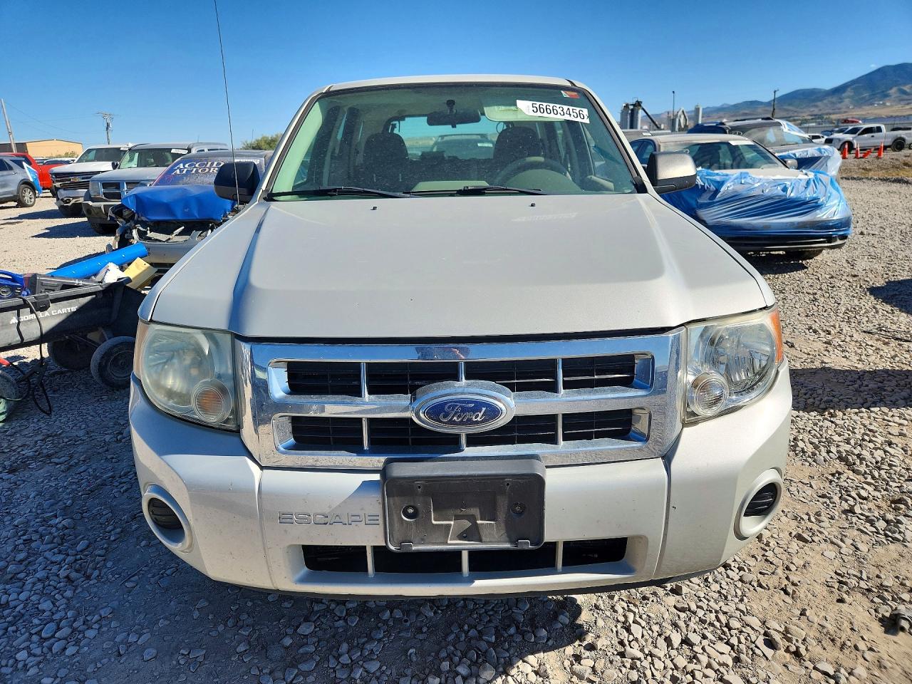 Ford Escape Xls