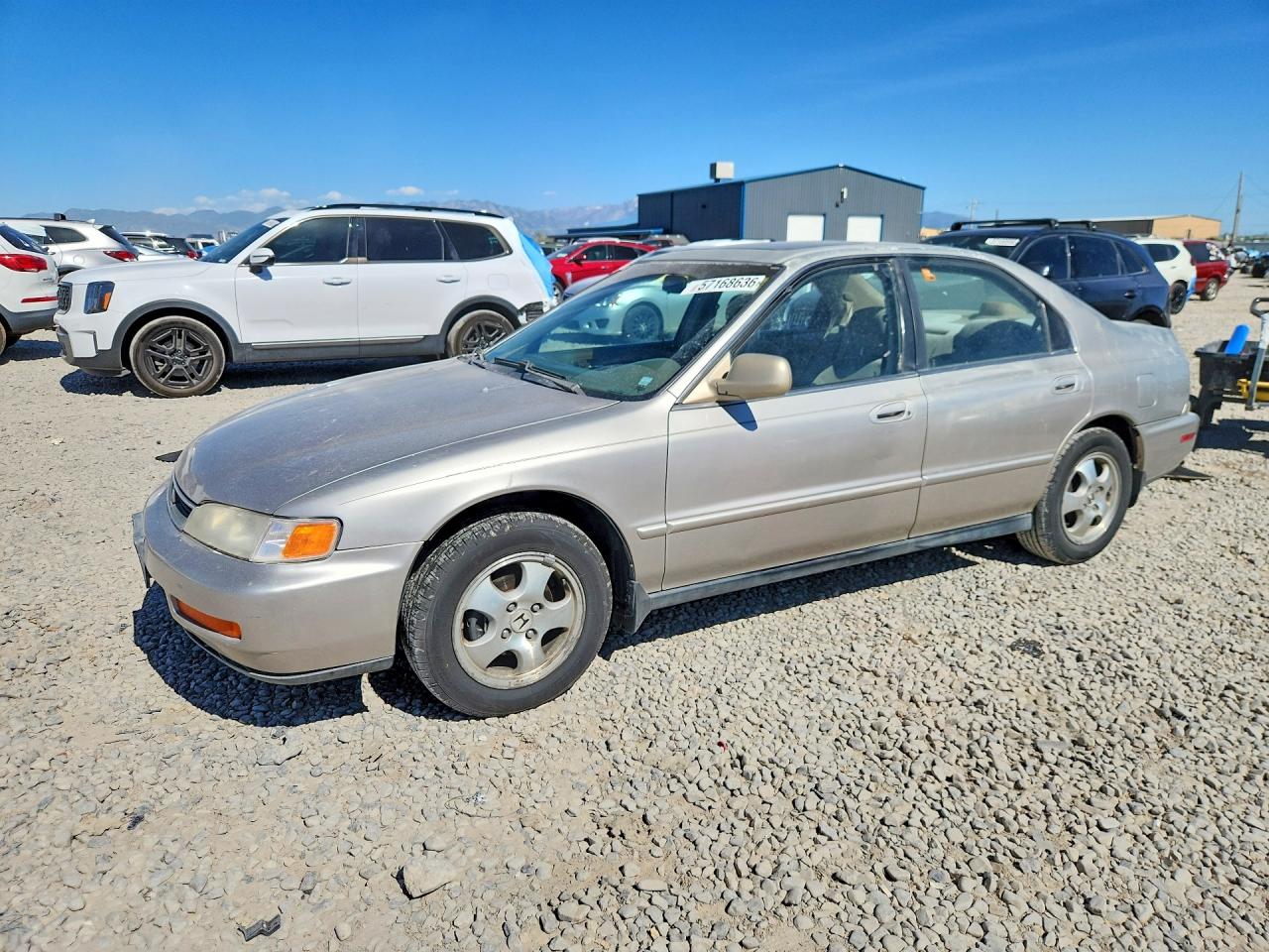Salvage Honda Accord Image