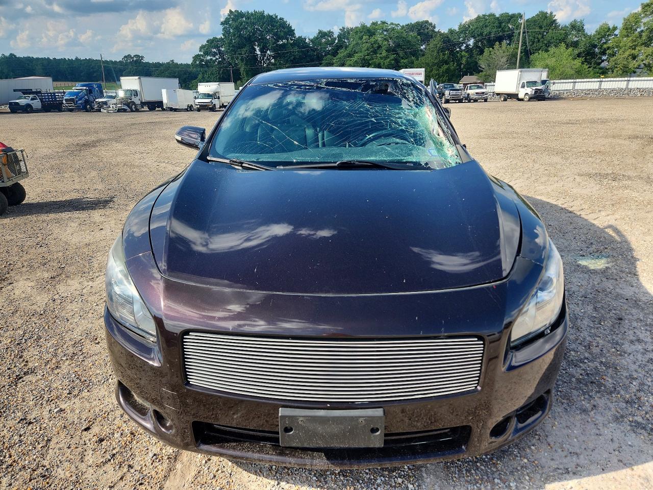 Nissan Maxima 3.5 S