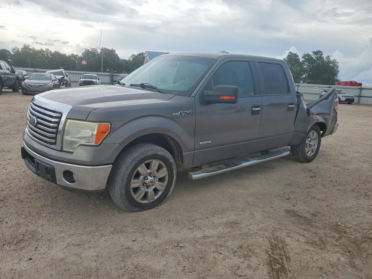 Salvage Ford F-150 Image