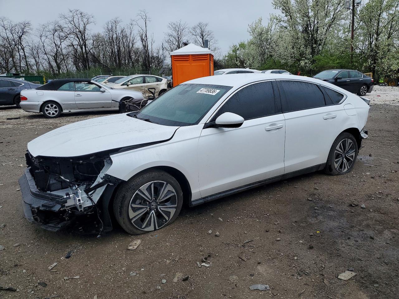 Salvage Honda Accord Image