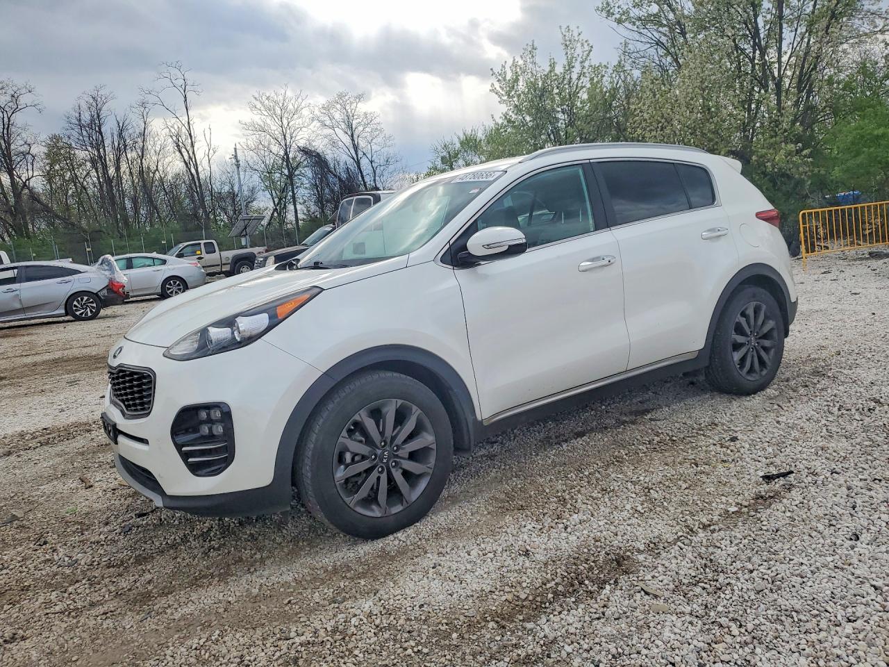 Salvage Kia Sportage Image