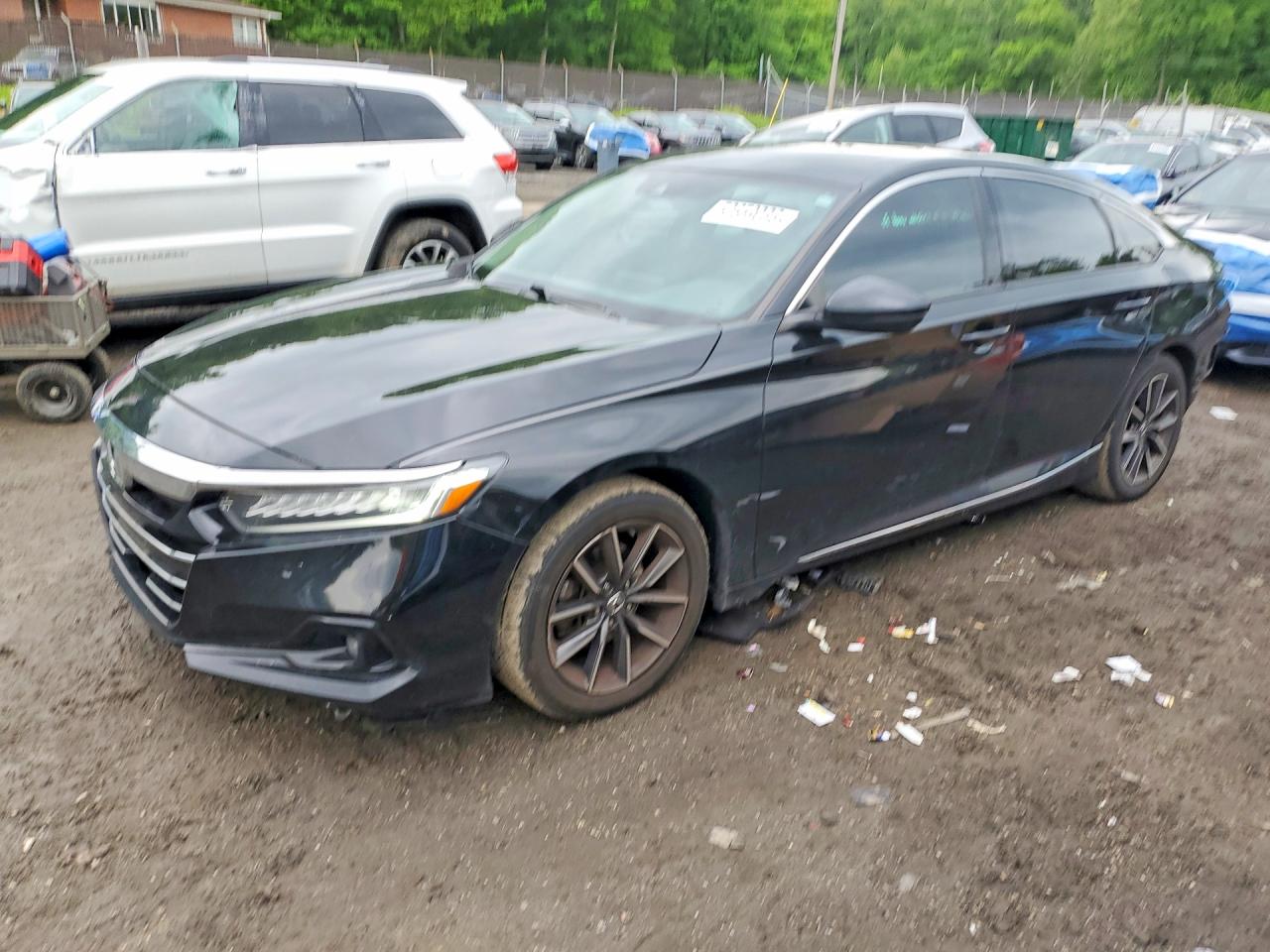 Salvage Honda Accord Image