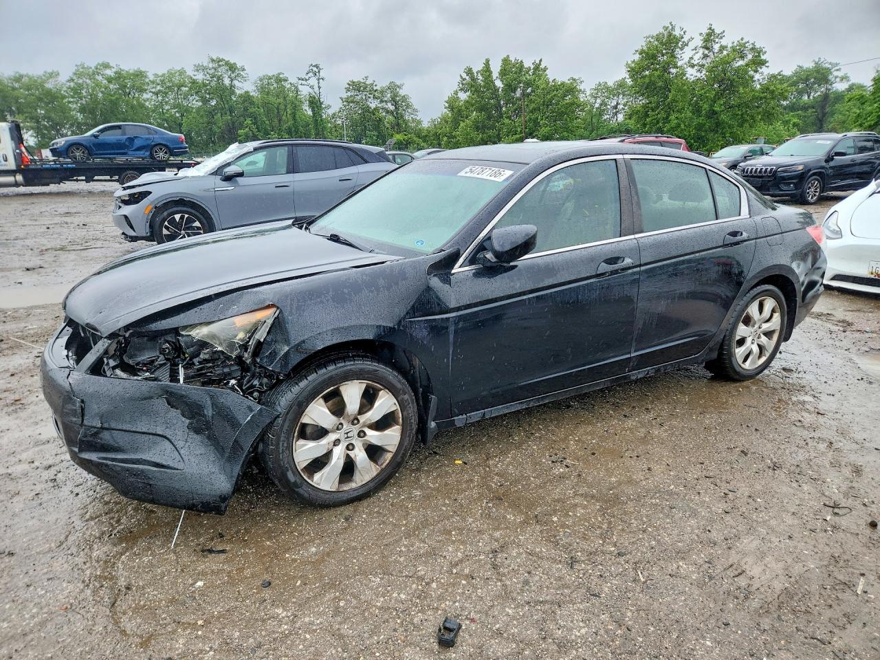 Salvage Honda Accord Image