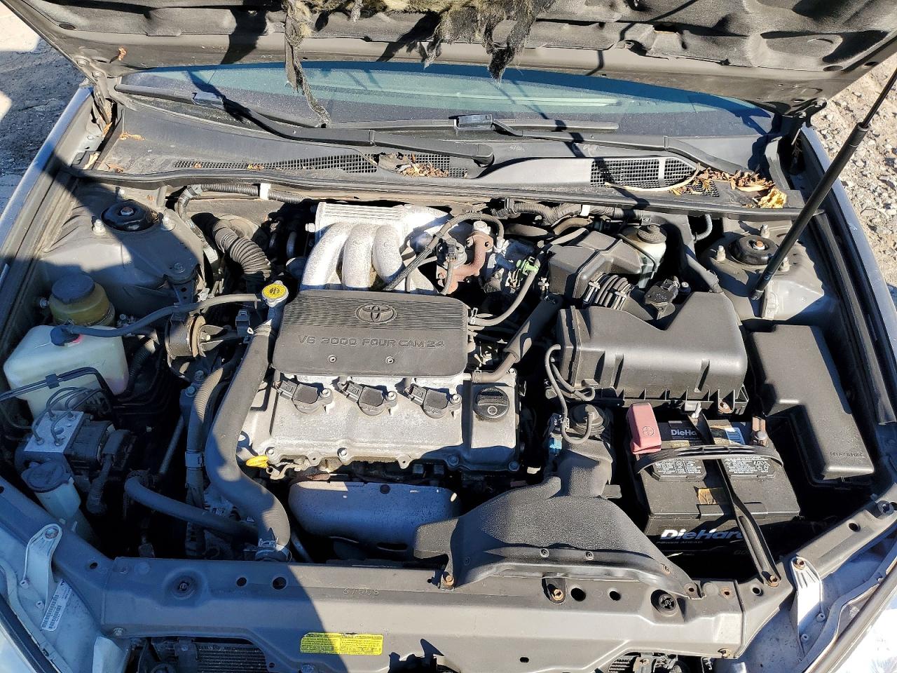 Toyota Camry Le V6