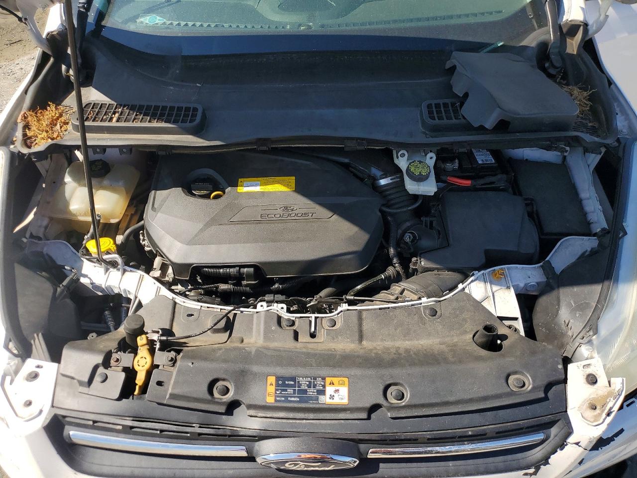 Ford Escape Se
