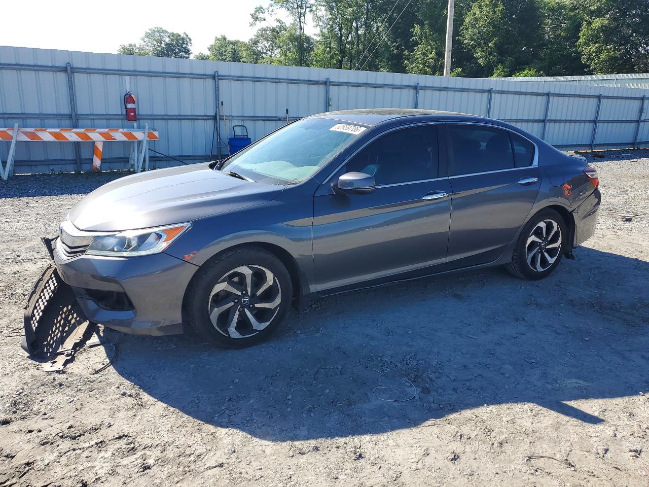 Salvage Honda Accord Image