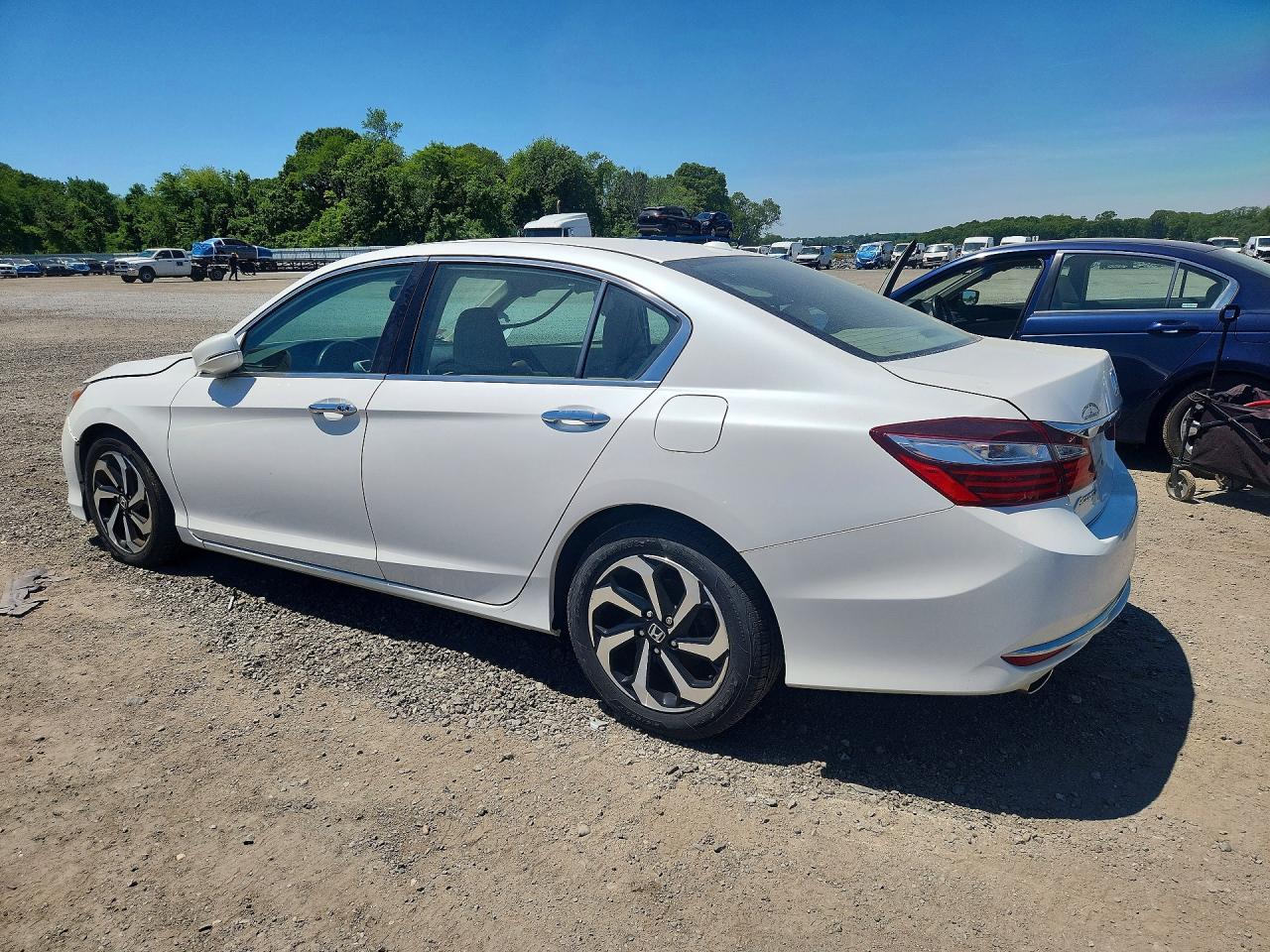 Honda Accord Exl