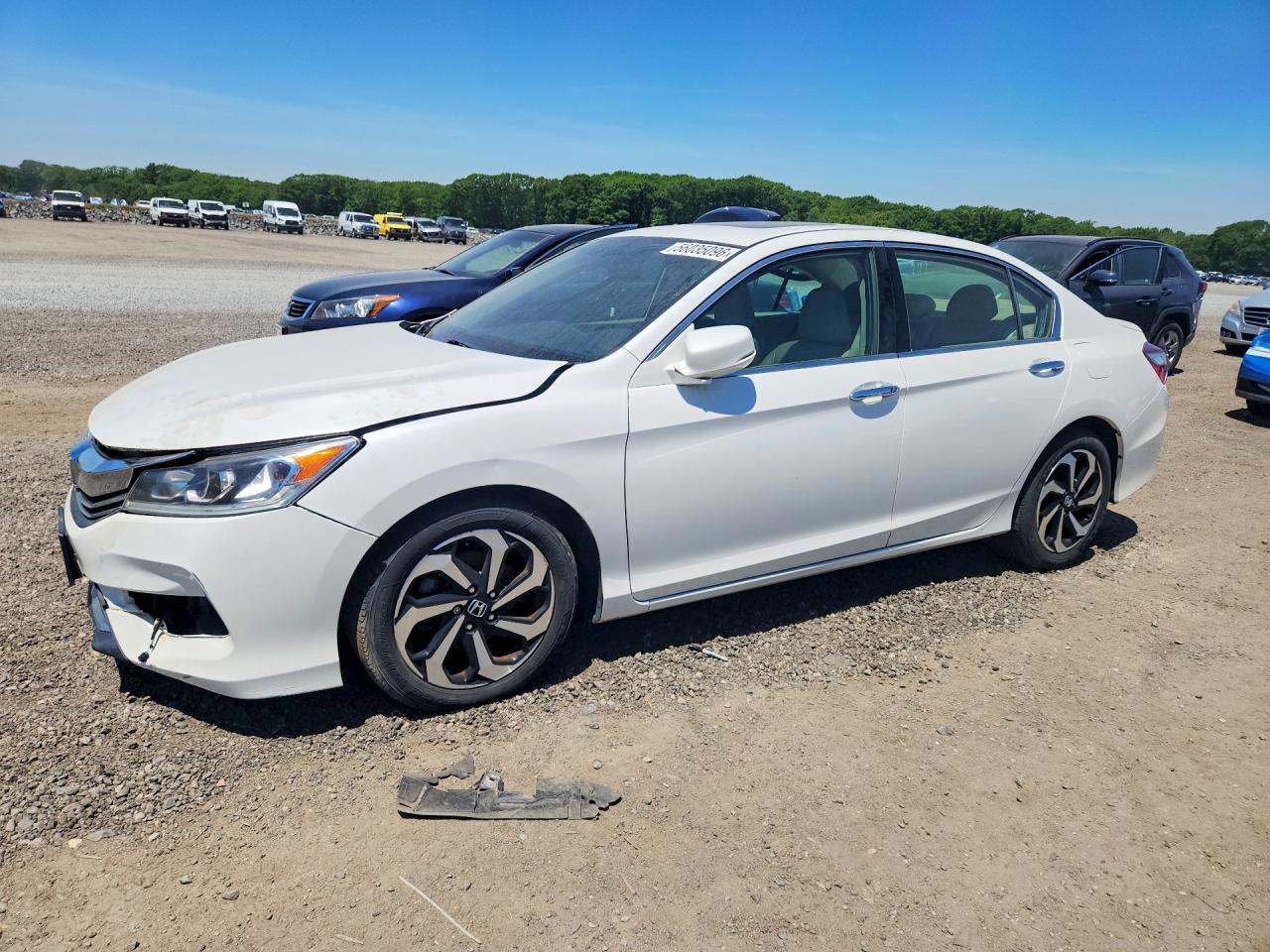 Salvage Honda Accord Image