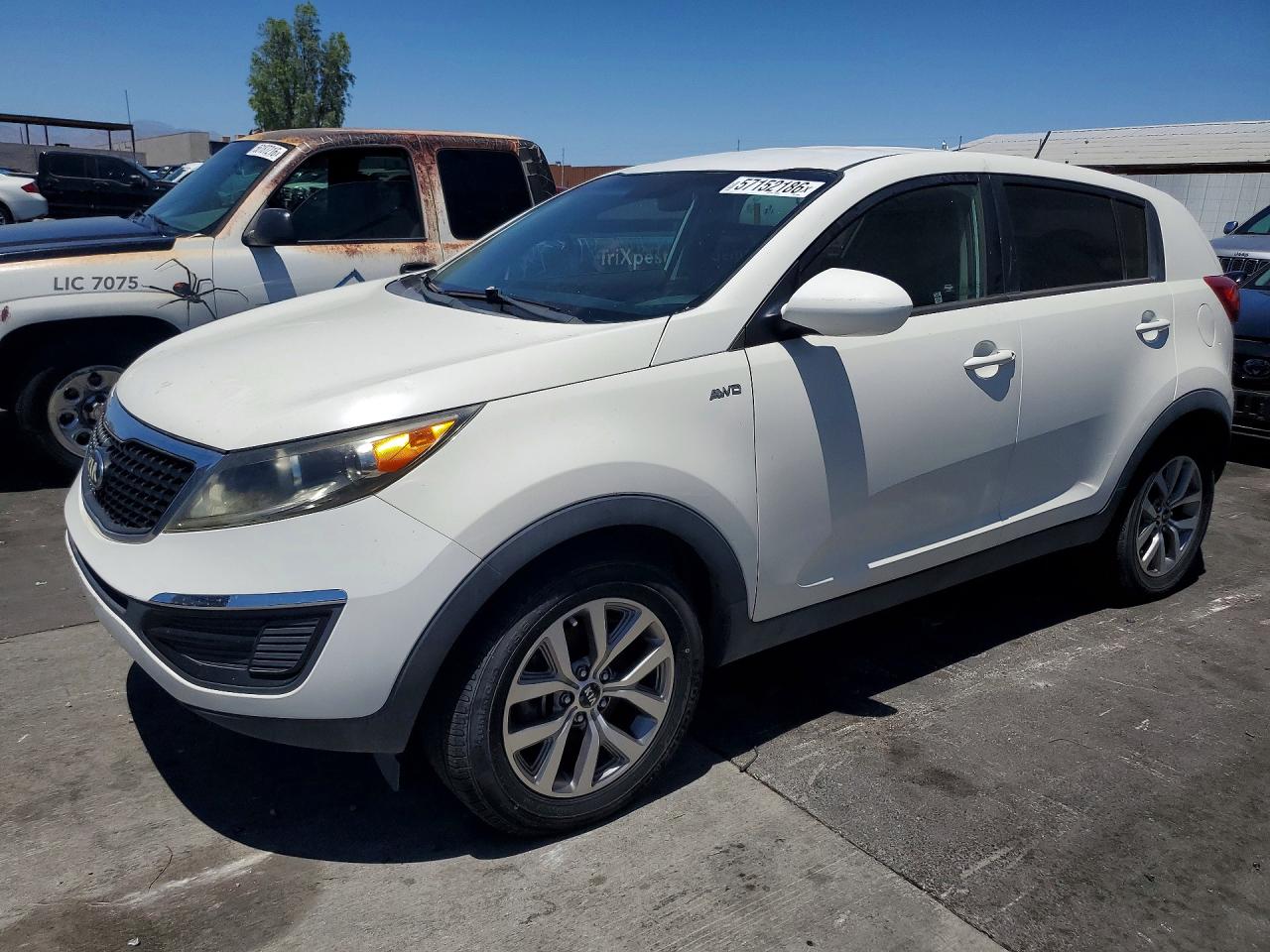 Salvage Kia Sportage Image