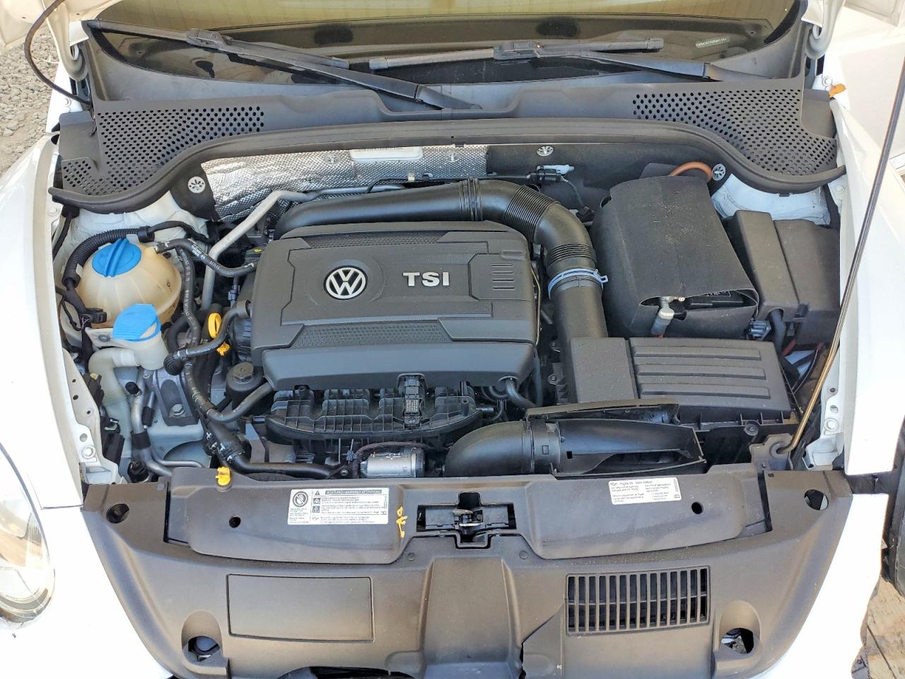 Volkswagen Beetle S