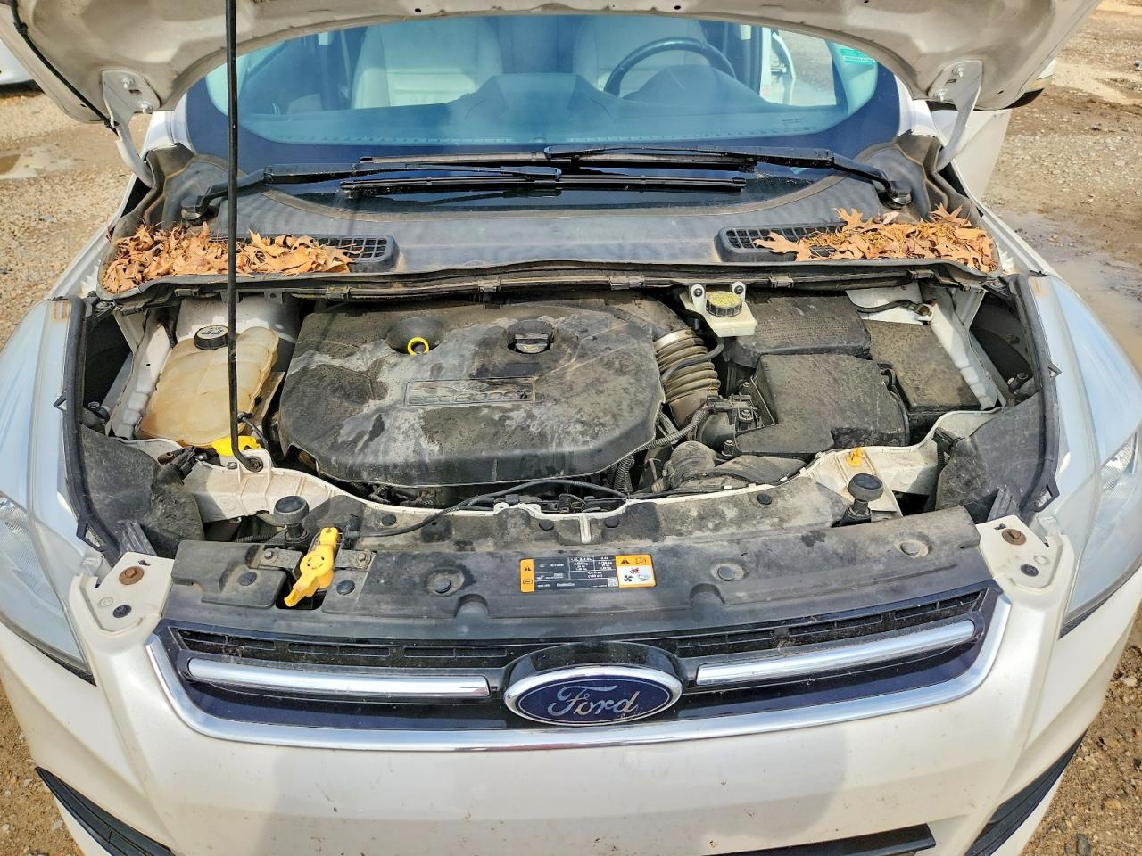 Ford Escape Sel