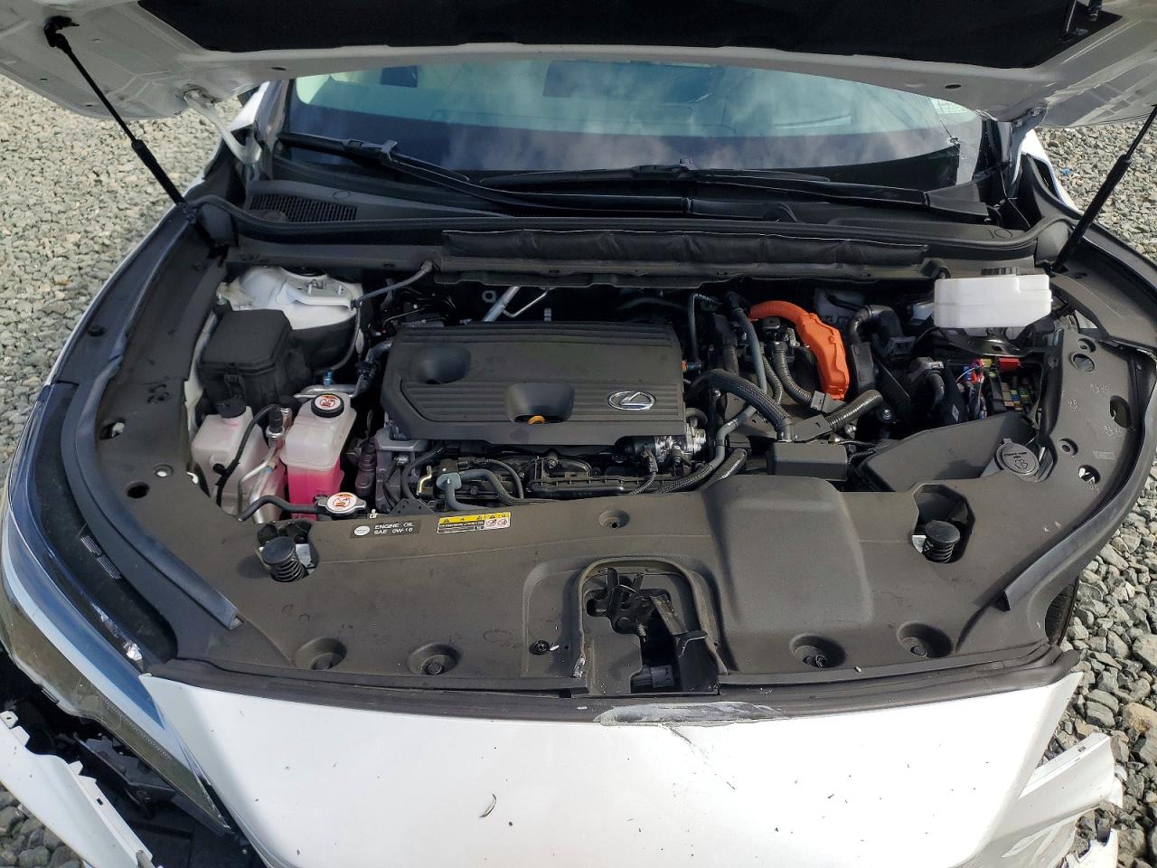 Lexus Other Premium+