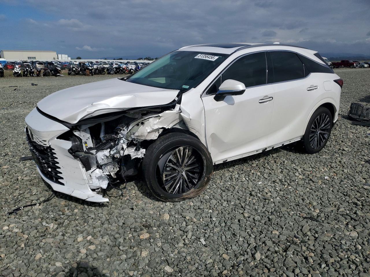 Lexus Other Premium+
