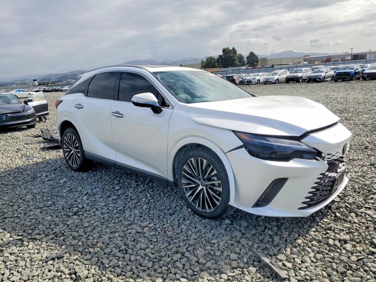 Lexus Other Premium+