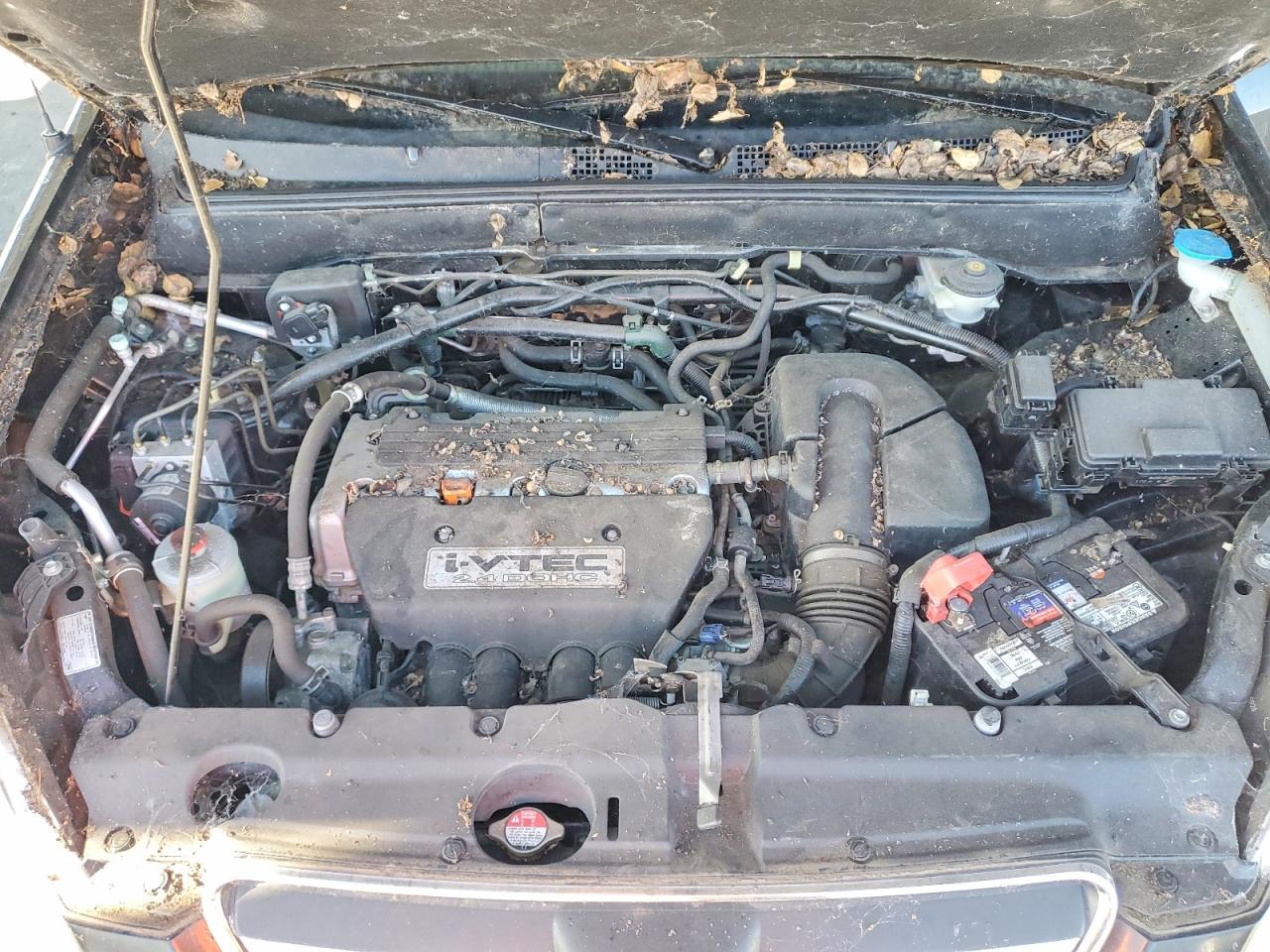 Honda Crv Se