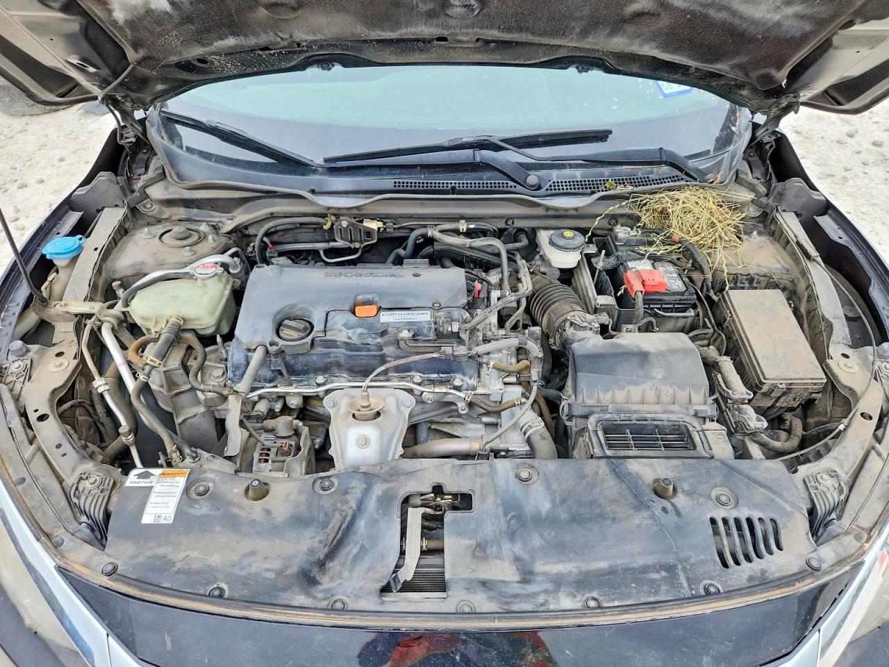 Honda Civic Ex