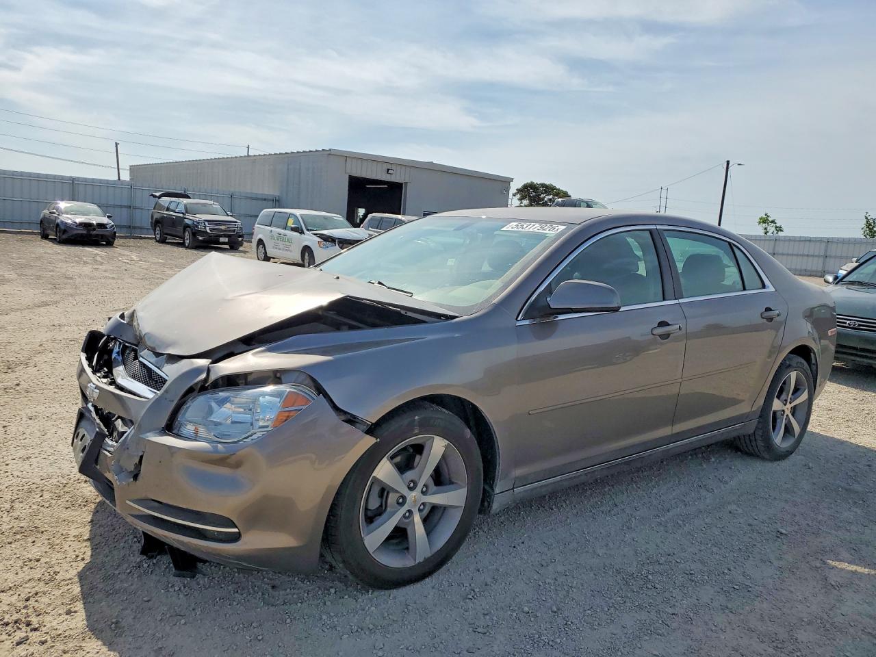 Salvage Chevrolet Malibu Image