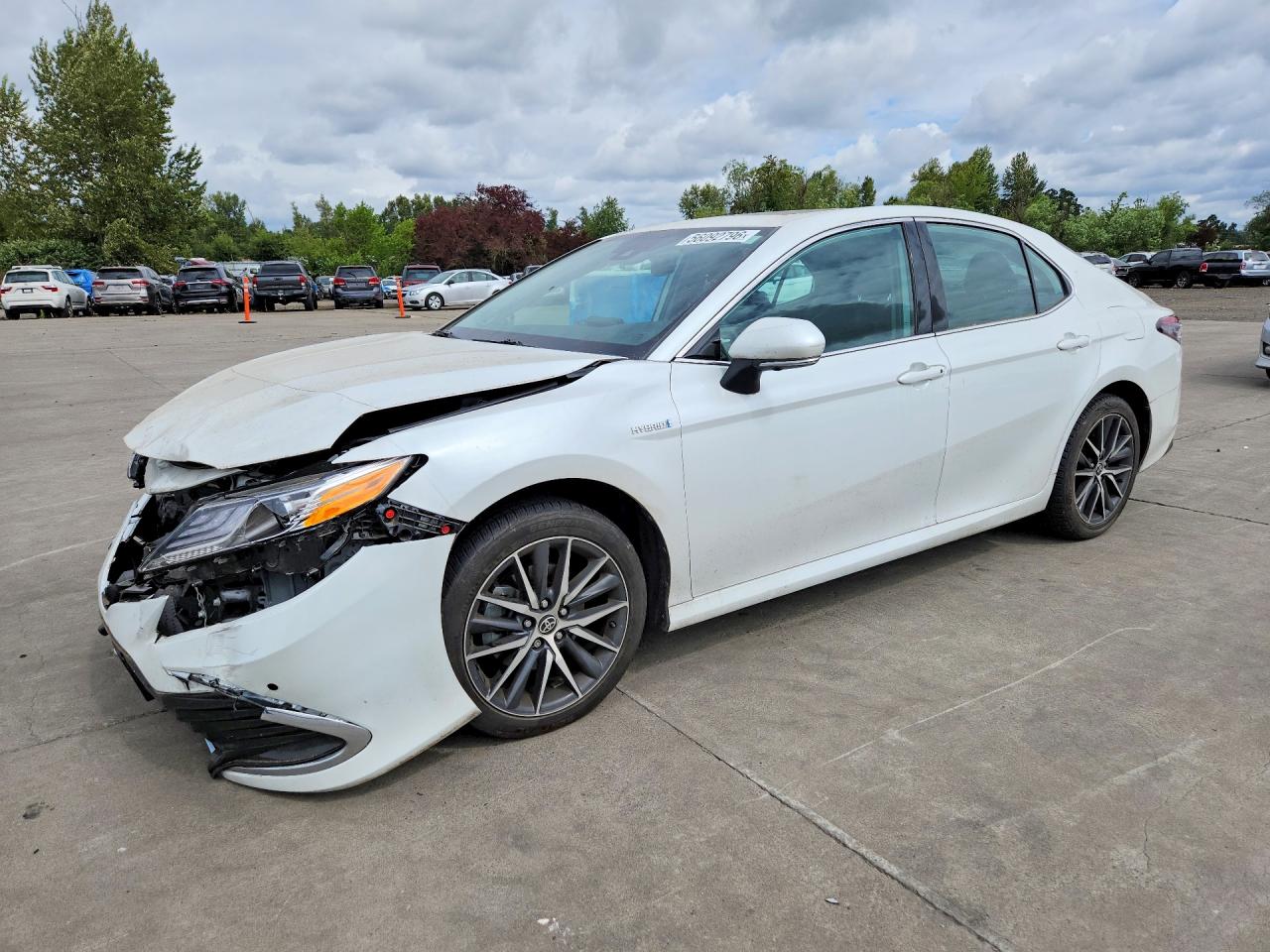 Salvage Toyota Camry Image