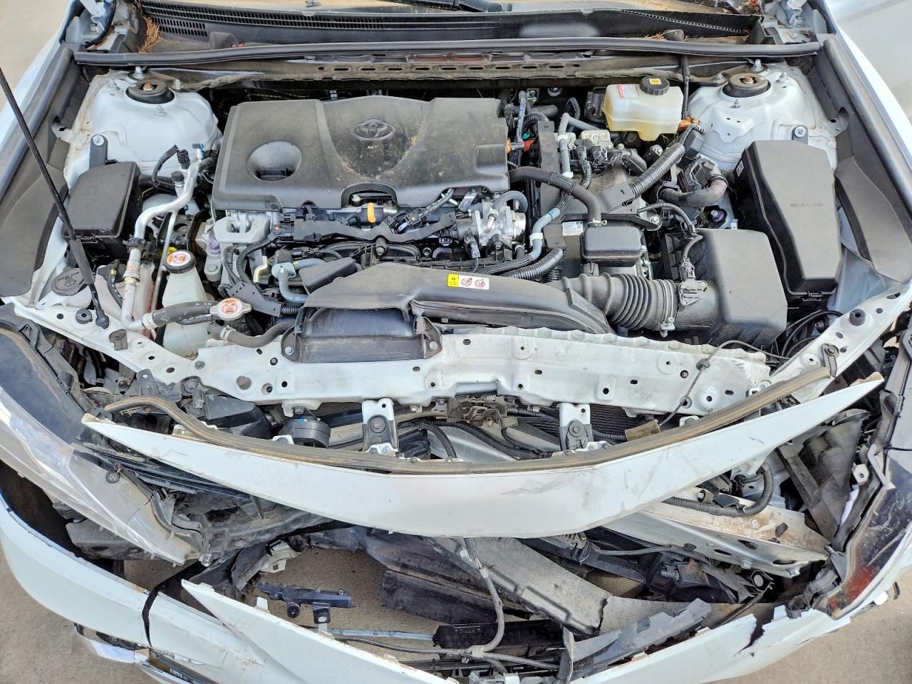 Toyota Camry Xle