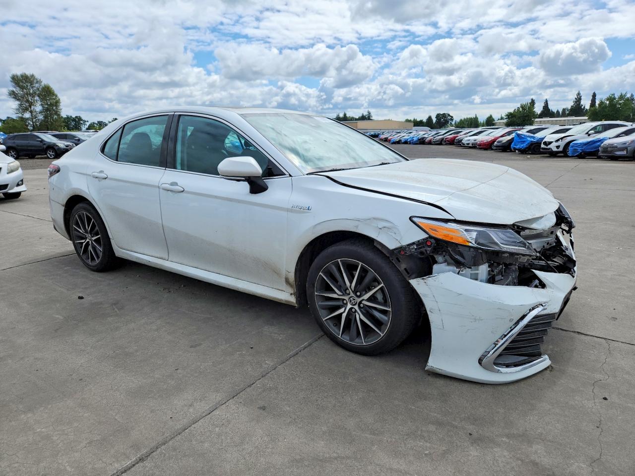 Toyota Camry Xle