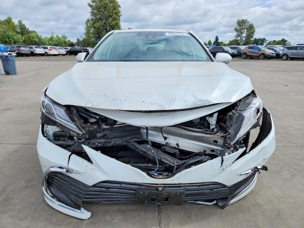 Toyota Camry Xle