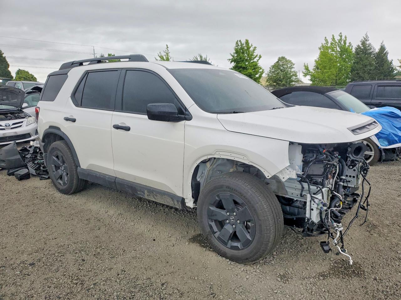 Honda Passport Rtl