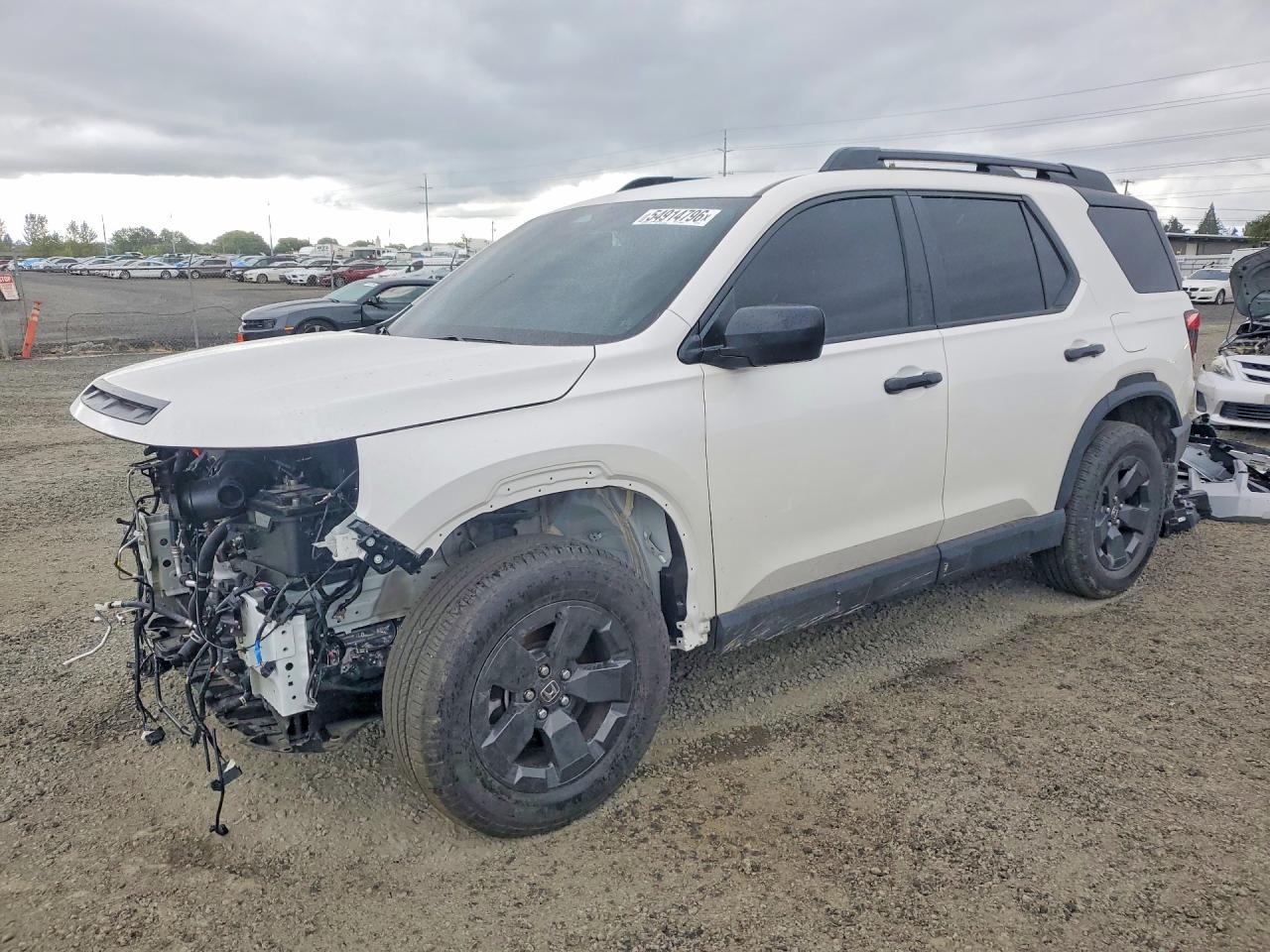 Salvage Honda Passport Image
