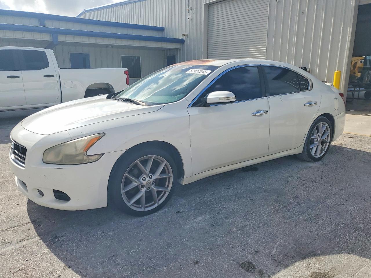 Nissan Maxima 3.5 S