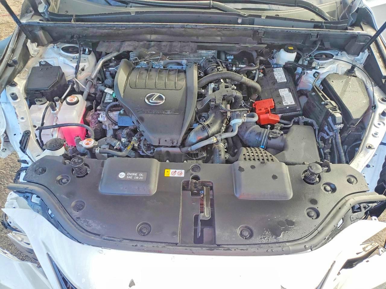 Lexus Other Premium