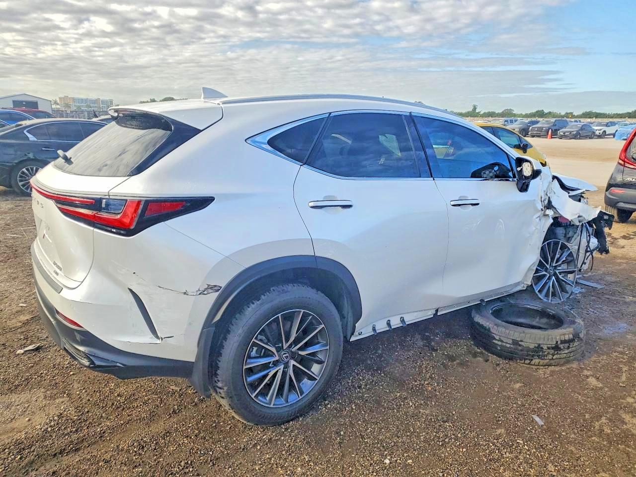 Lexus Other Premium