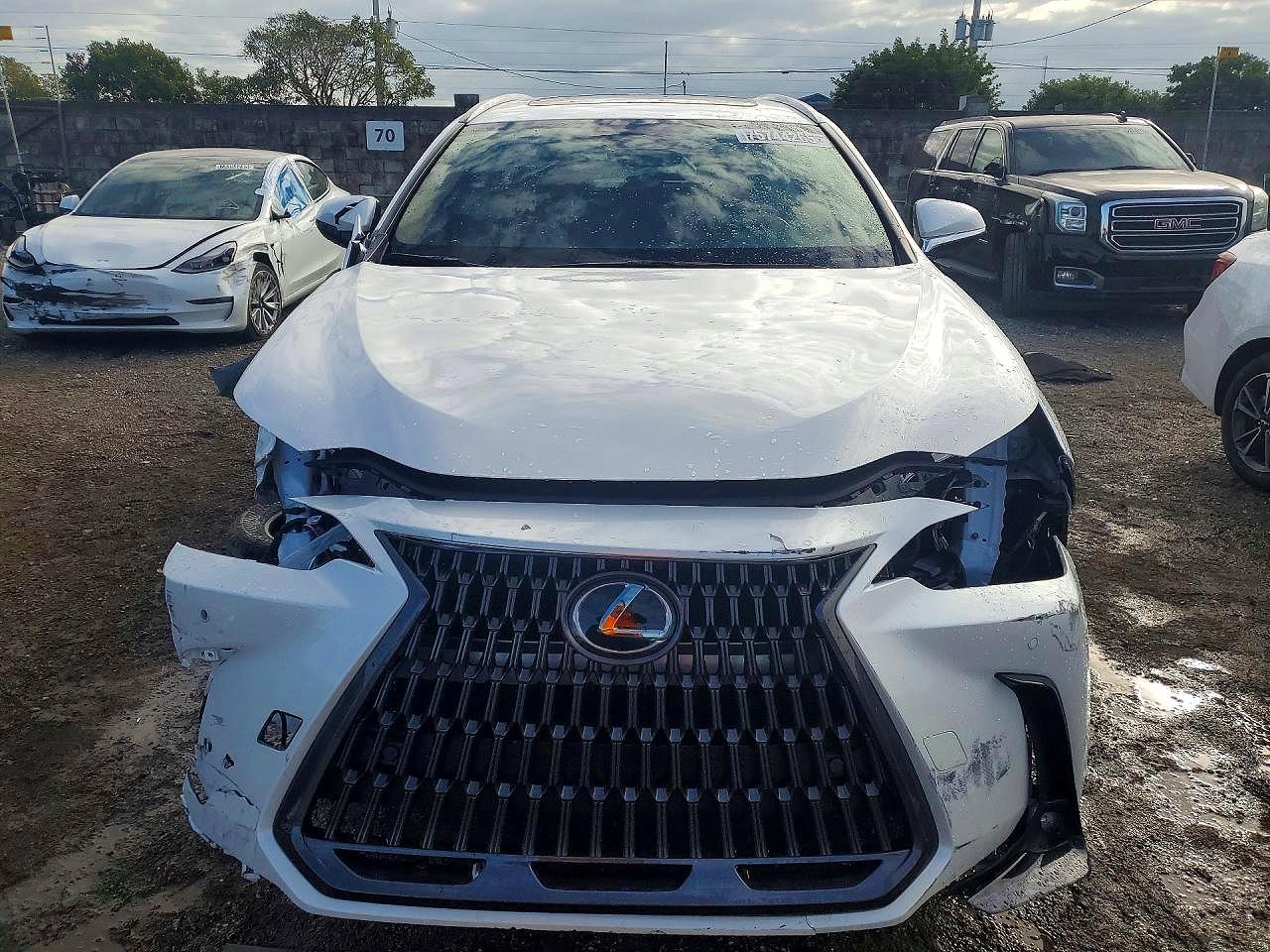 Lexus Other Premium