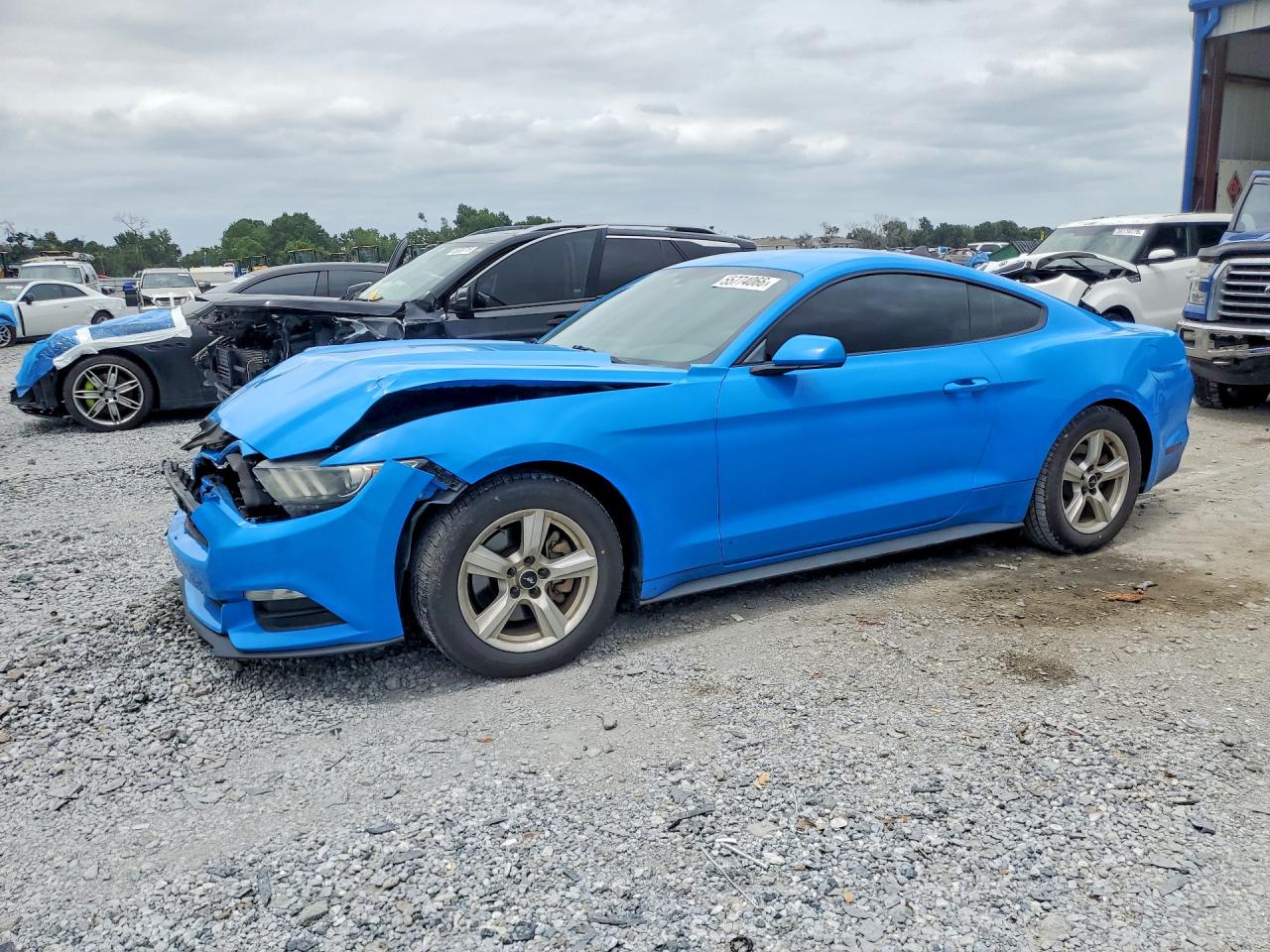 Salvage Ford Mustang Image