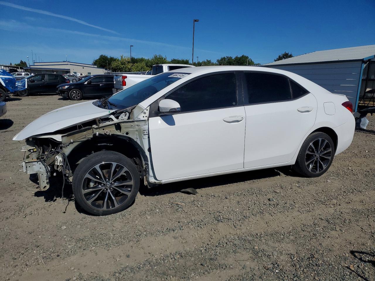 Salvage Toyota Corolla Image