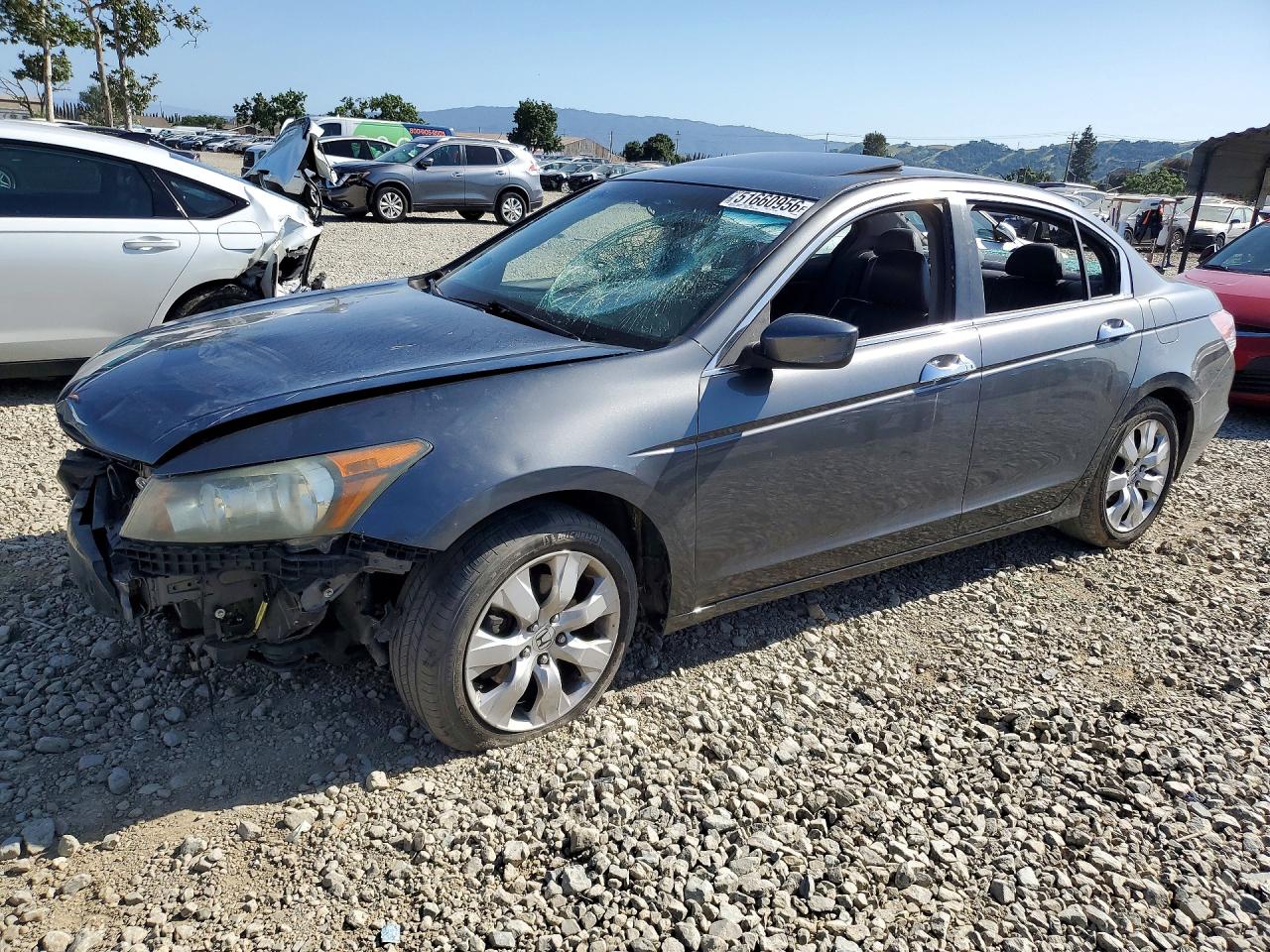 Salvage Honda Accord Image