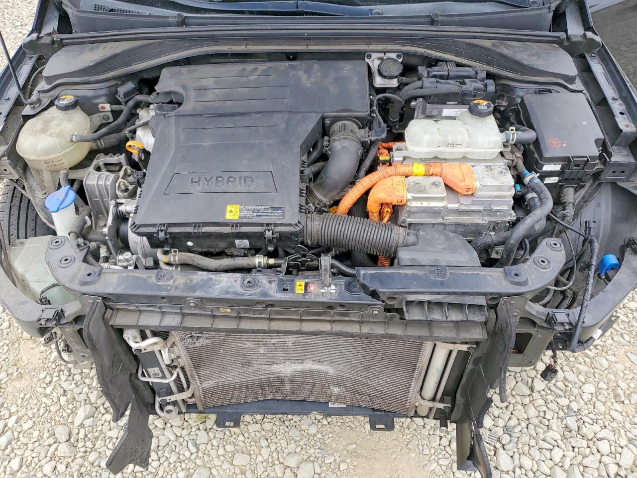Hyundai Ioniq Blue