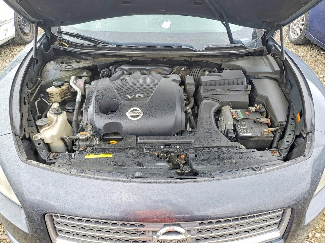 Nissan Maxima 3.5 S