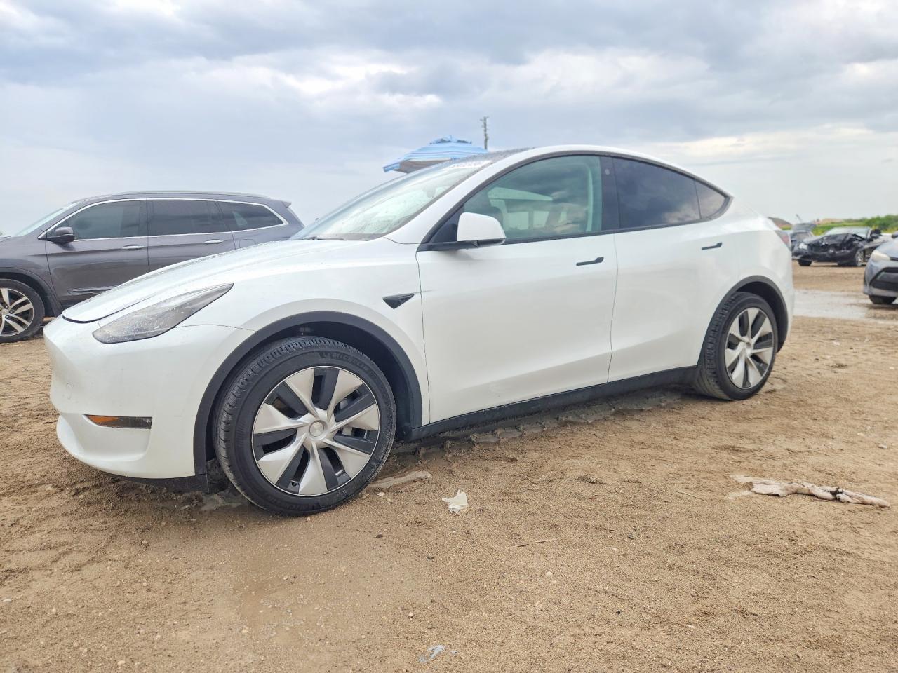 Salvage Tesla Model Y Image