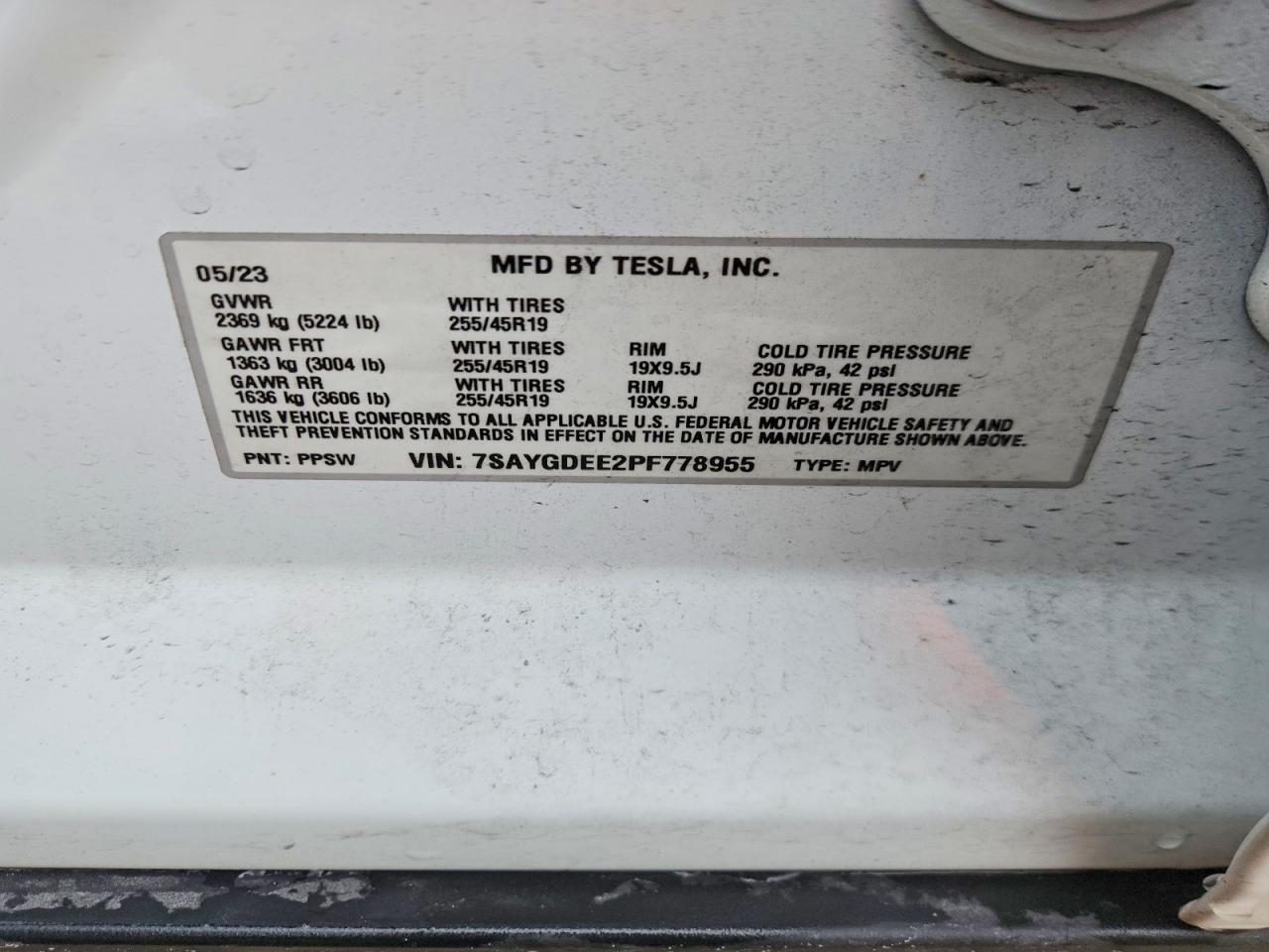 Tesla Model Y